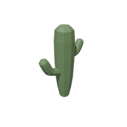 Cactus 3